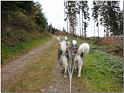 Tour Odenwald 103